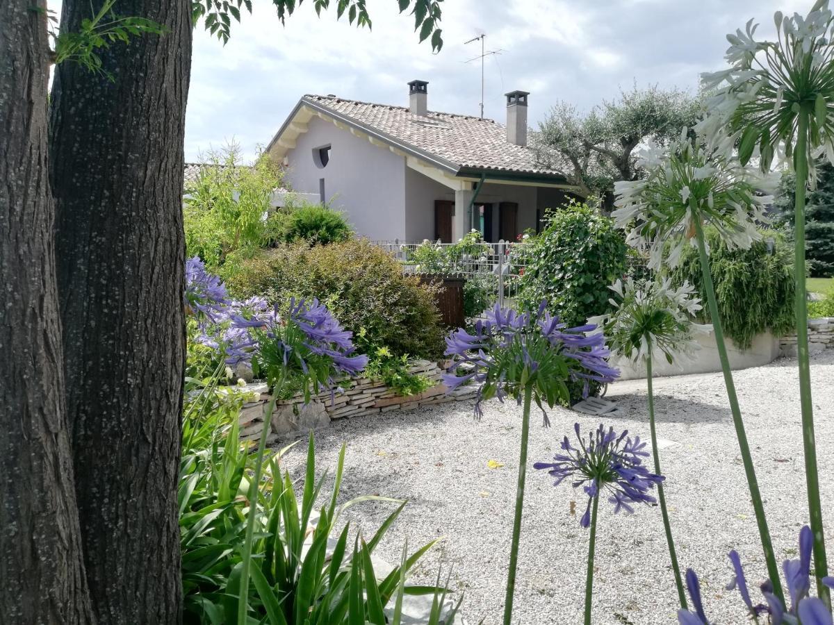 B&B Flavio E Catia Marotta Extérieur photo