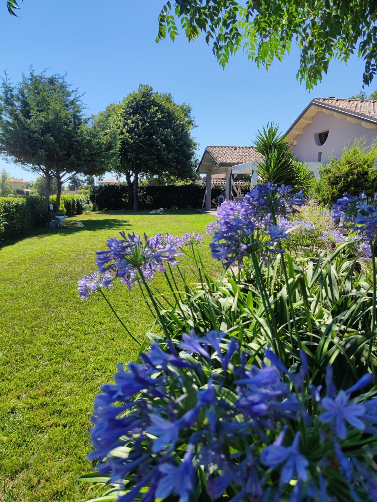 B&B Flavio E Catia Marotta Extérieur photo